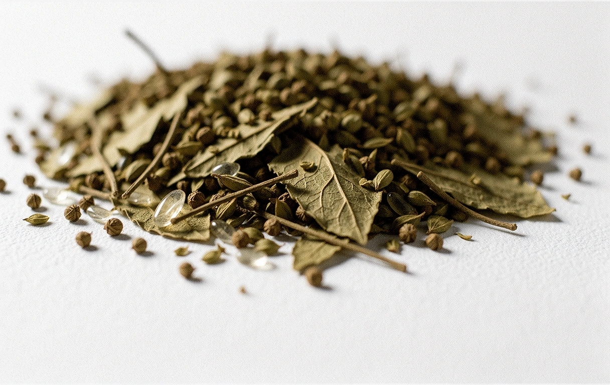 Herbes médicinales séchées
